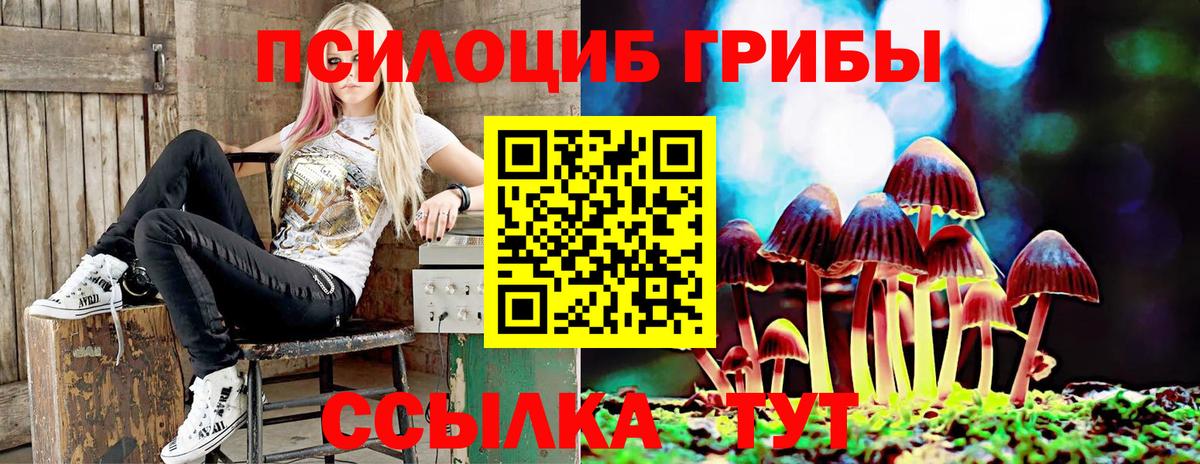 Дзержинск  Псилоцибиновые грибы MAGIC MUSHROOMS  Вход с VPN 