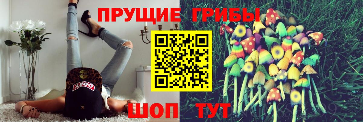 Псилоцибиновые грибы ЛСД Дзержинск